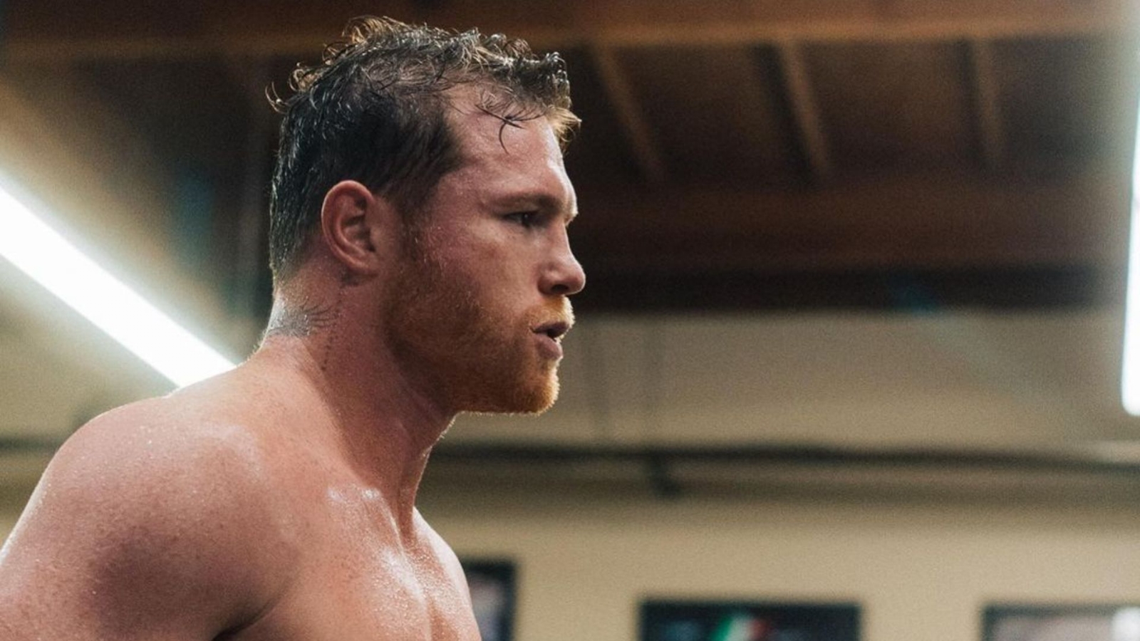Saúl Canelo Álvarez volverá a subir al ring en el mes de mayo