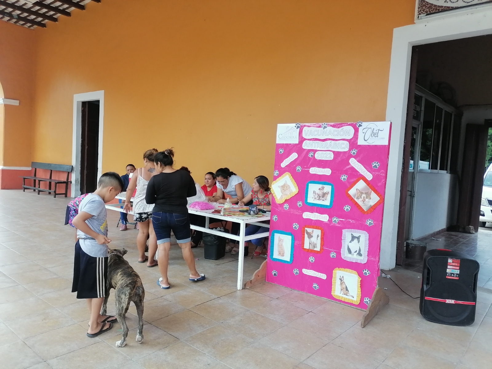 Al medio día ya se habían vacunado a 500 animales