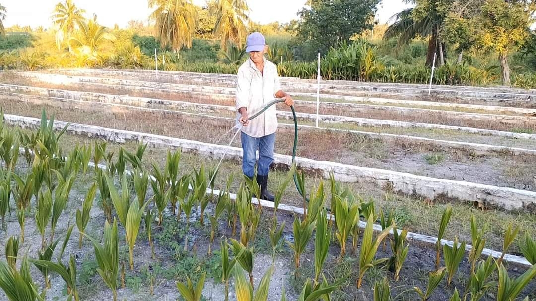 De igual, se espera una Feria del Fertilizante que está en desarrollo para los productores de la región Sursureste De igual, se espera una Feria del Fertilizante que está en desarrollo para los productores de la región Sursureste