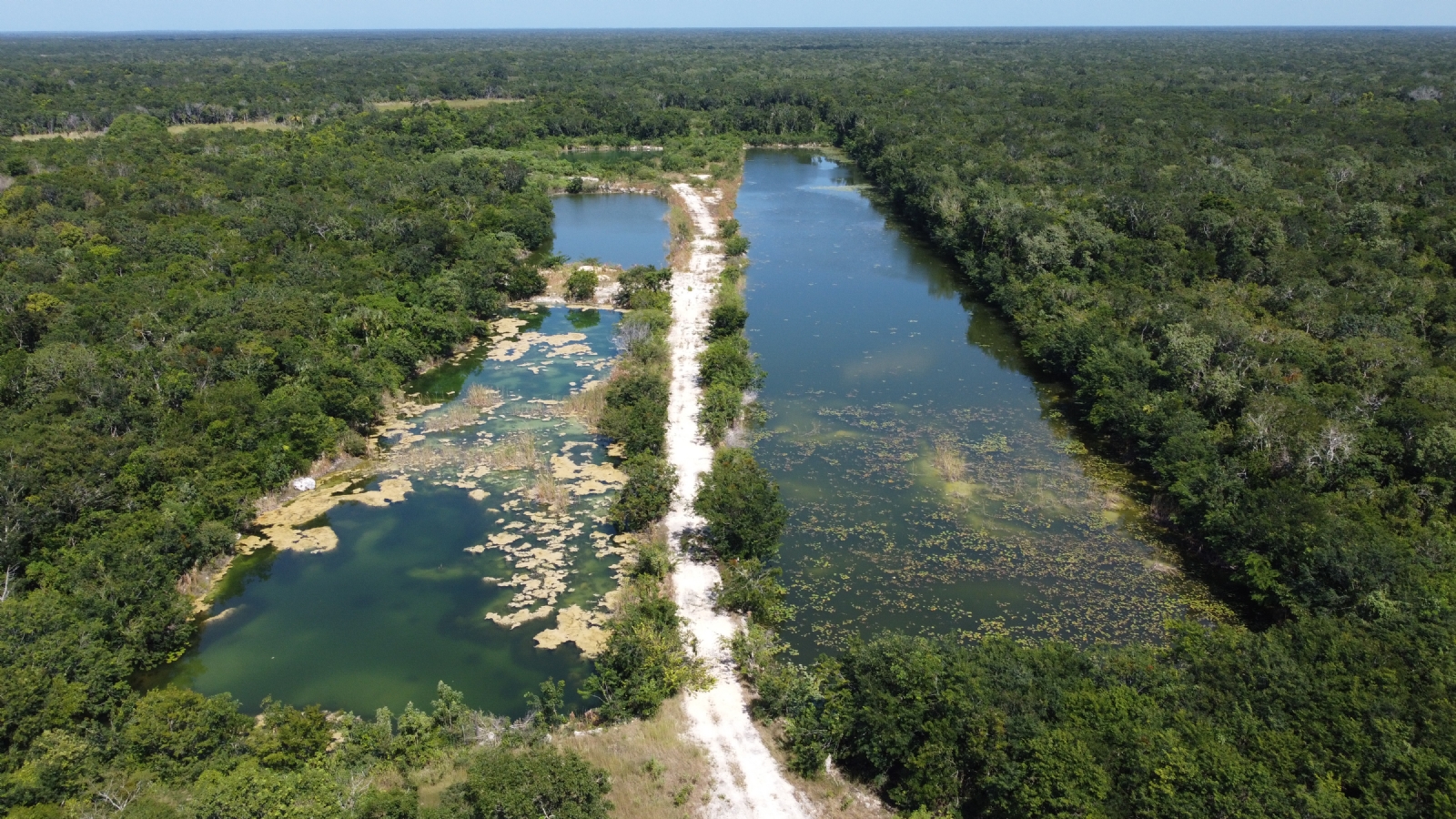 Los integrantes del Consejo Ciudadano por el Agua en Yucatán participaron en el VI Congreso Nacional, en Torreón, Coahuila