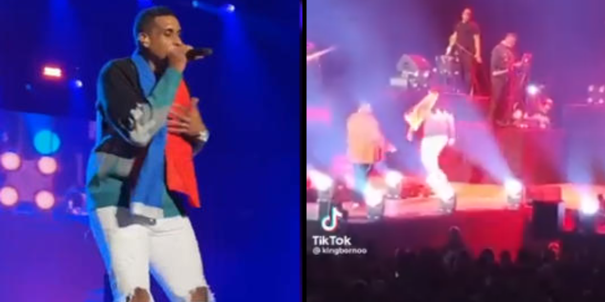 El concierto lo ofreció este sábado en Francia. Foto: TikTok