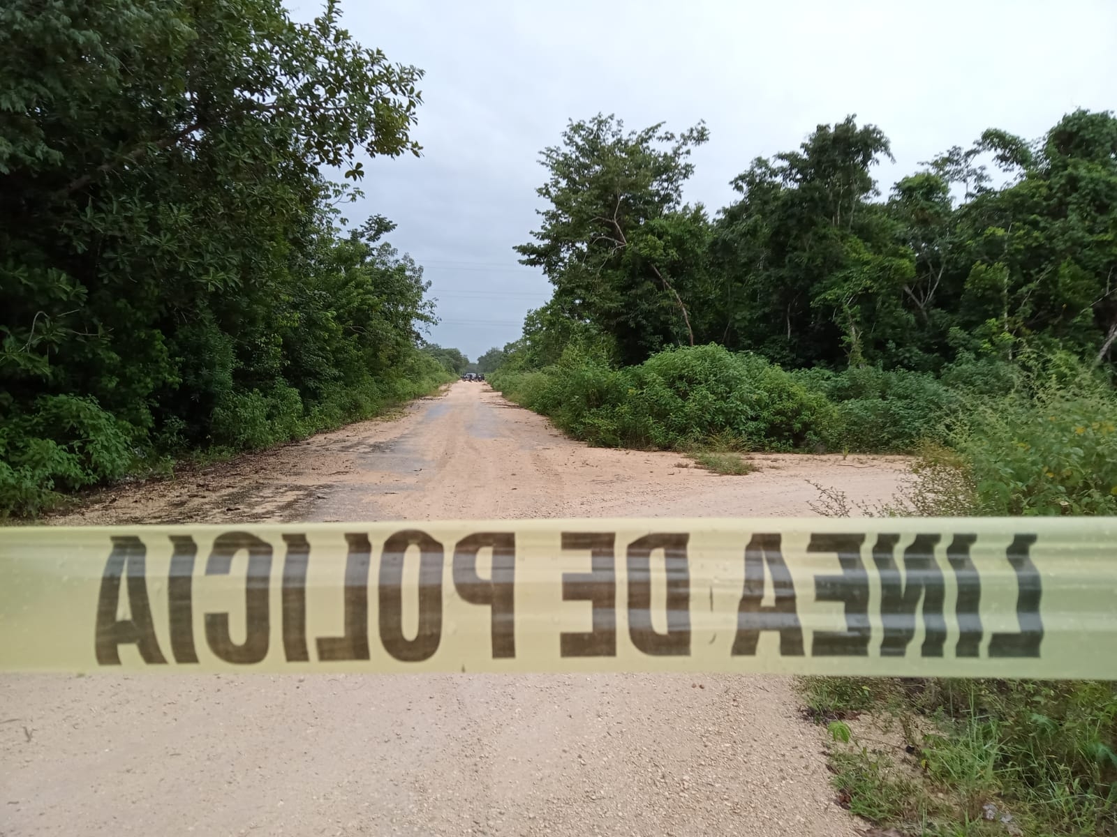 Acudieron elementos de la Policía Quintana Roo y Guardia Nacional, a confirmar el reporte del hallazgo Acudieron elementos de la Policía Quintana Roo y Guardia Nacional, a confirmar el reporte del hallazgo