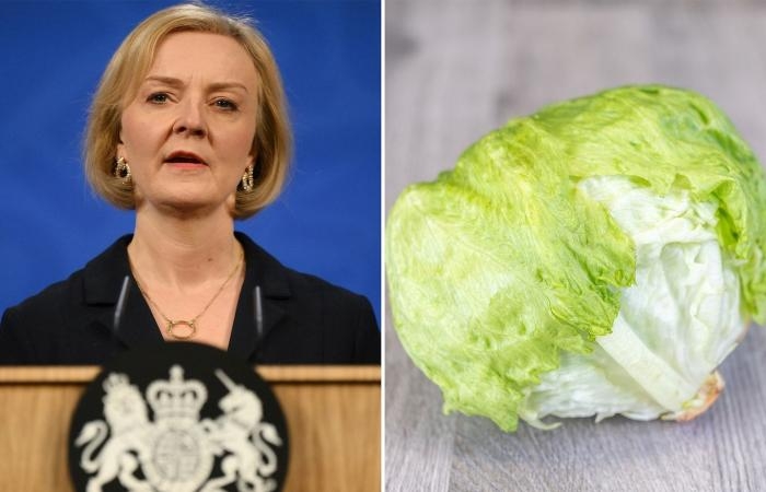 La primera ministra del Reino Unido, Liz Truss, comparada con una lechuga, en medio de bromas y caos económico