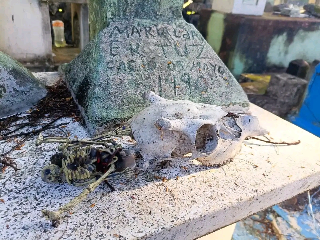 El presunto trabajo de brujería fue hallado cerca de una tumba El presunto trabajo de brujería fue hallado cerca de una tumba