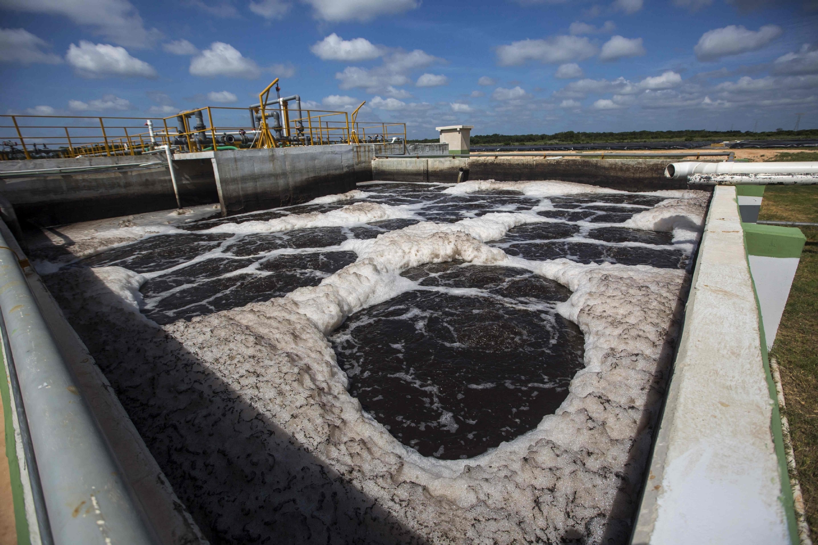 Las granjas porcícolas son un grave problema para el agua en Yucatán Las granjas porcícolas son un grave problema para el agua en Yucatán