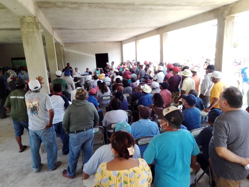 Ejidatarios de Dzemul comprueban propiedad de 800 hectáreas; Ivonne Ortega las habría vendido