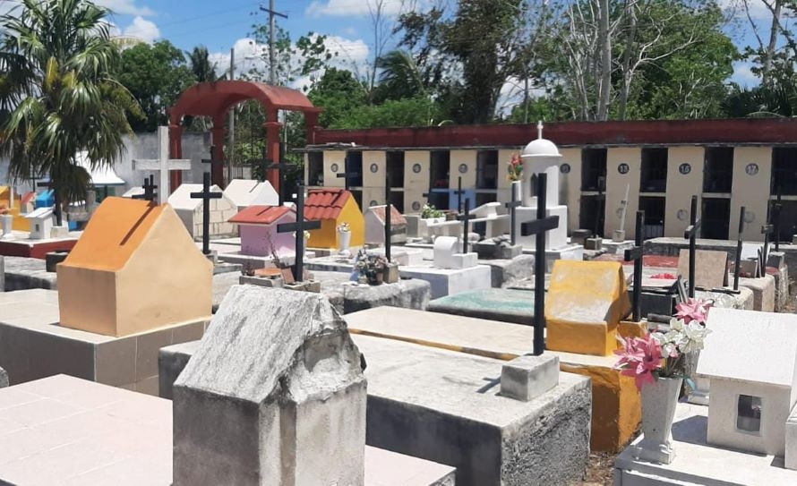 En jarrones y veladoras se cría la larva del mosco