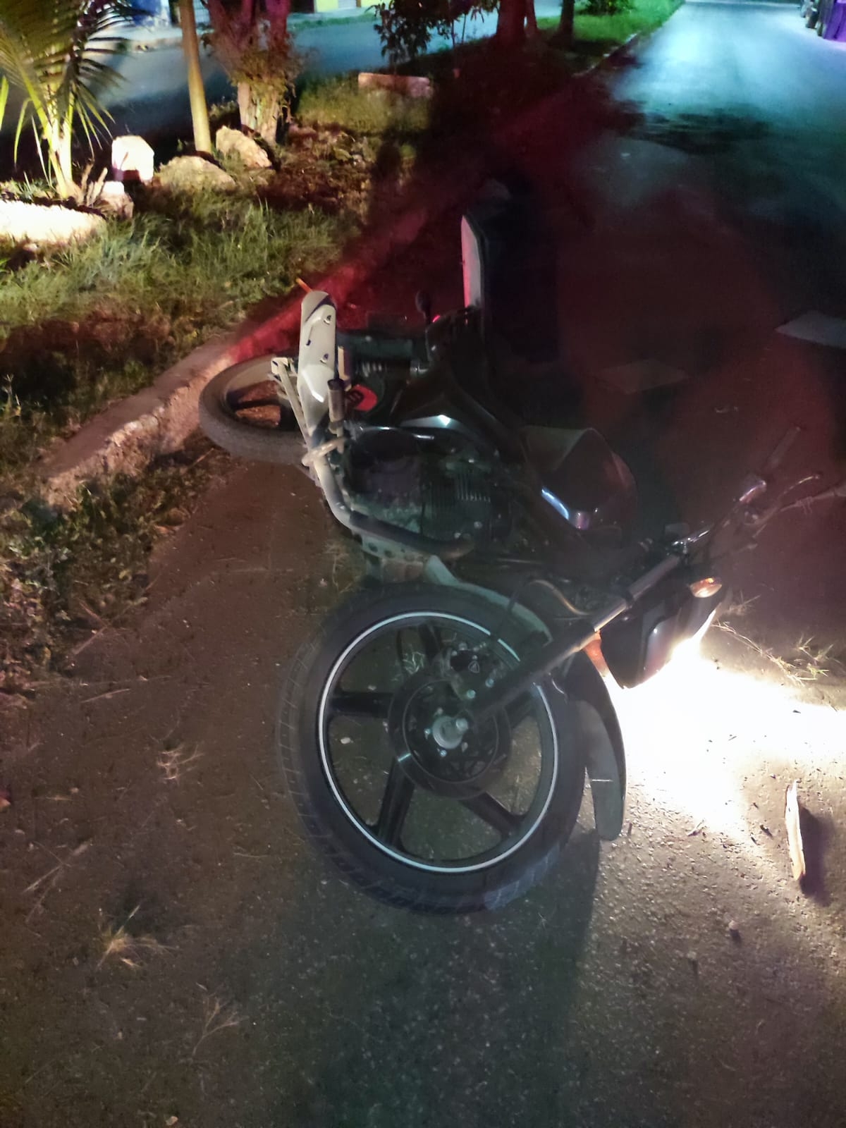 El motociclista se estrelló con un árbol del camellón central de la avenida Chetumal El motociclista se estrelló con un árbol del camellón central de la avenida Chetumal