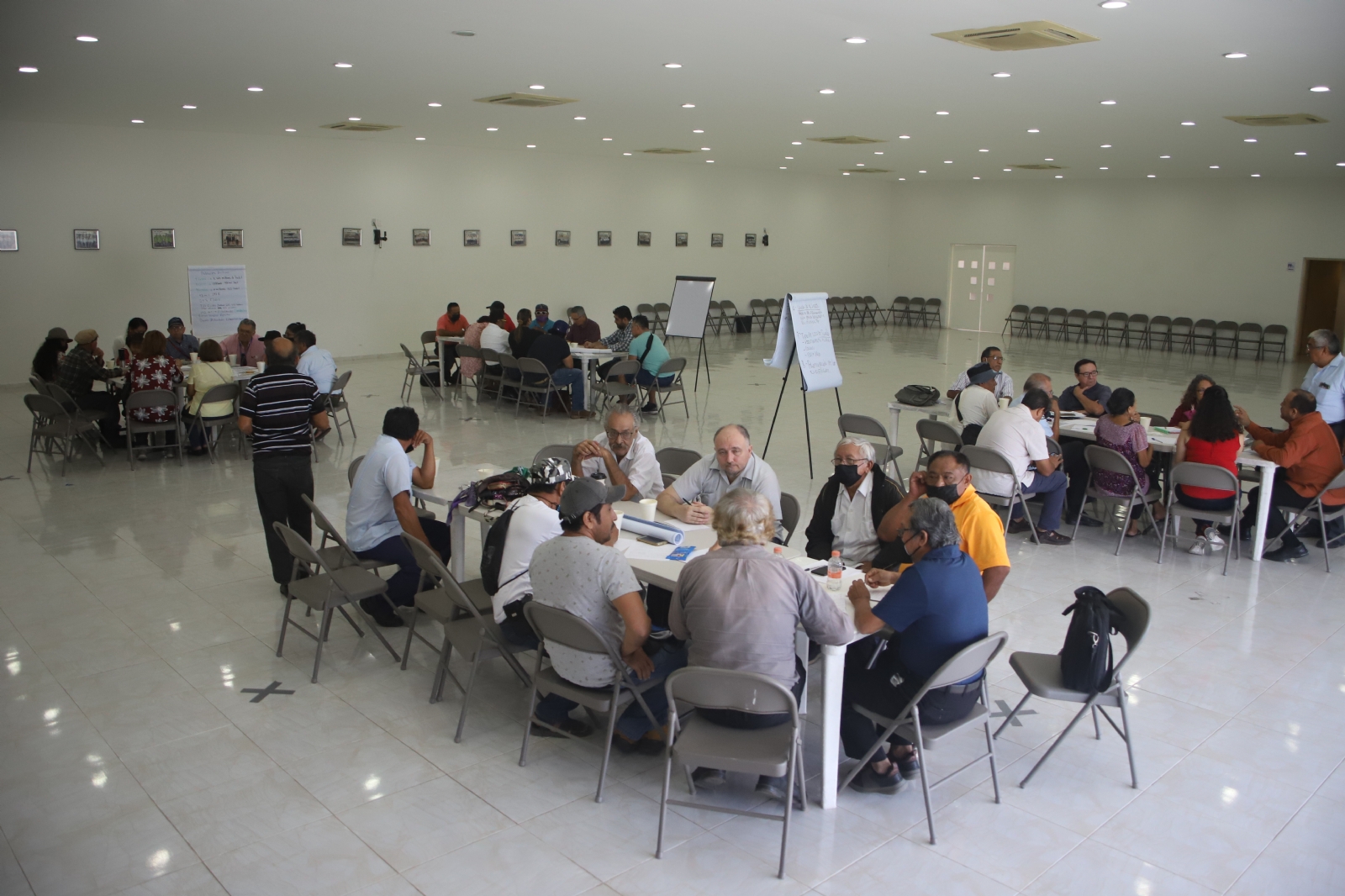 31 organizaciones se suman contra las granjas porcícolas de Kekén en Yucatán