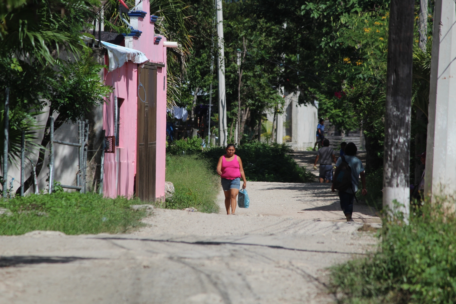 Colonias irregulares, sin ofrendas, por lo costoso que resultan