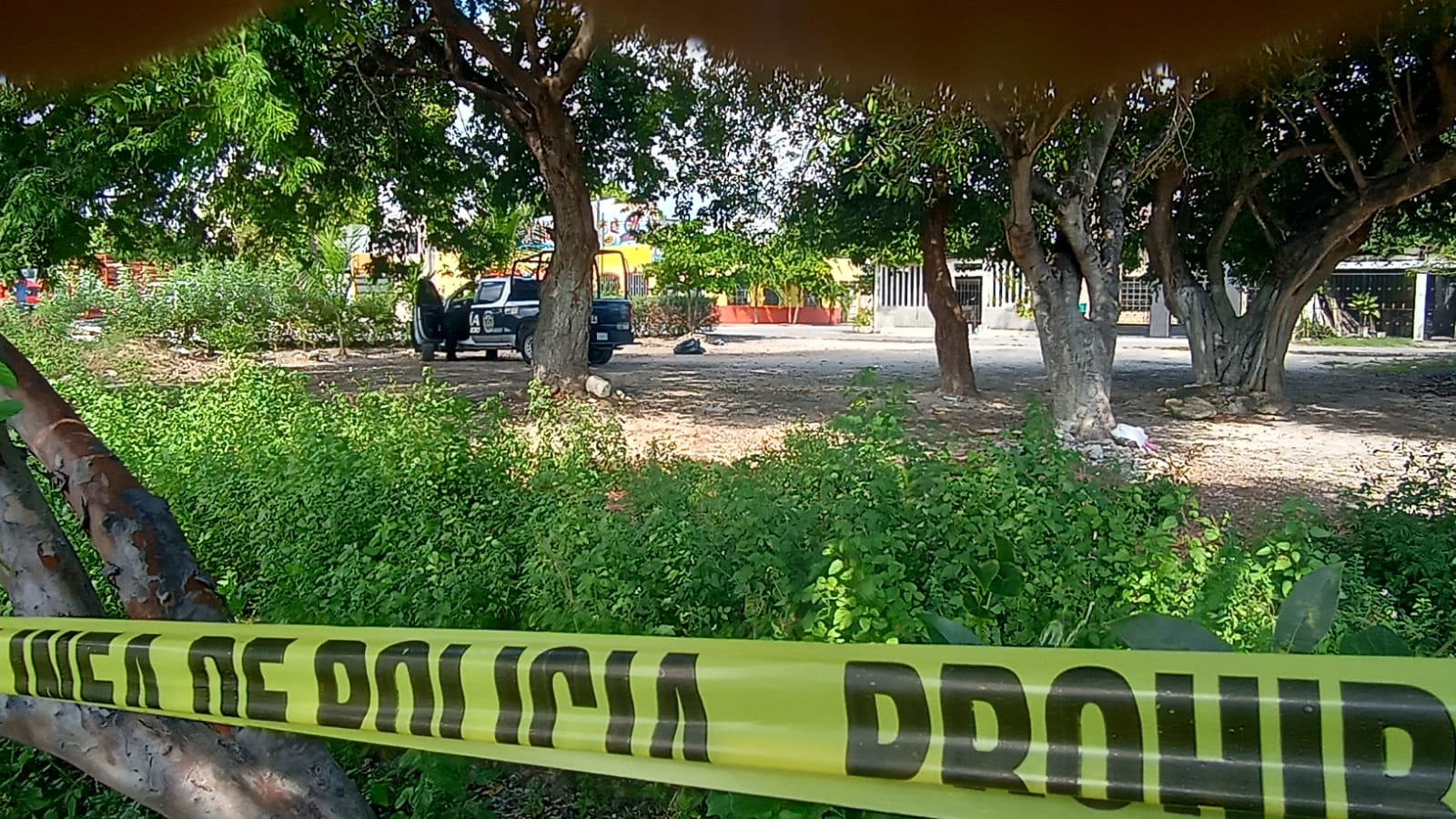 Reportan hallazgo de un descuartizado en la Región 234 de Cancún
