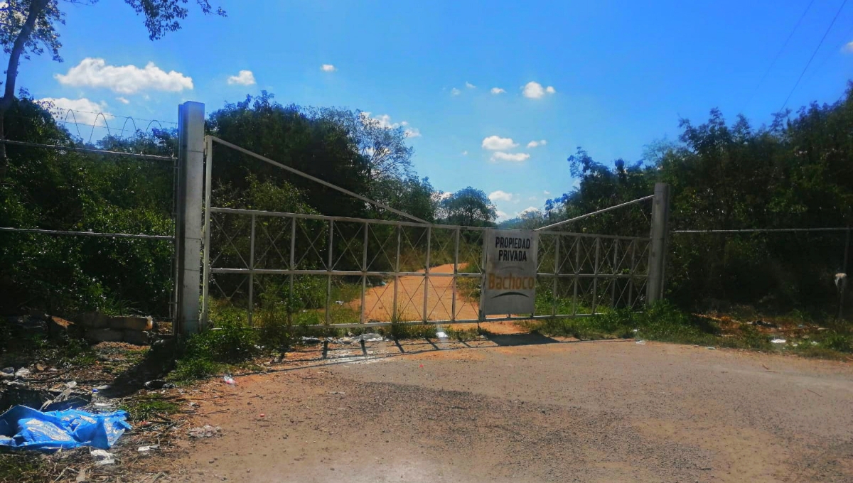 Varios terrenos de Hunucmá ahora pertenecen a Bachoco Varios terrenos de Hunucmá ahora pertenecen a Bachoco