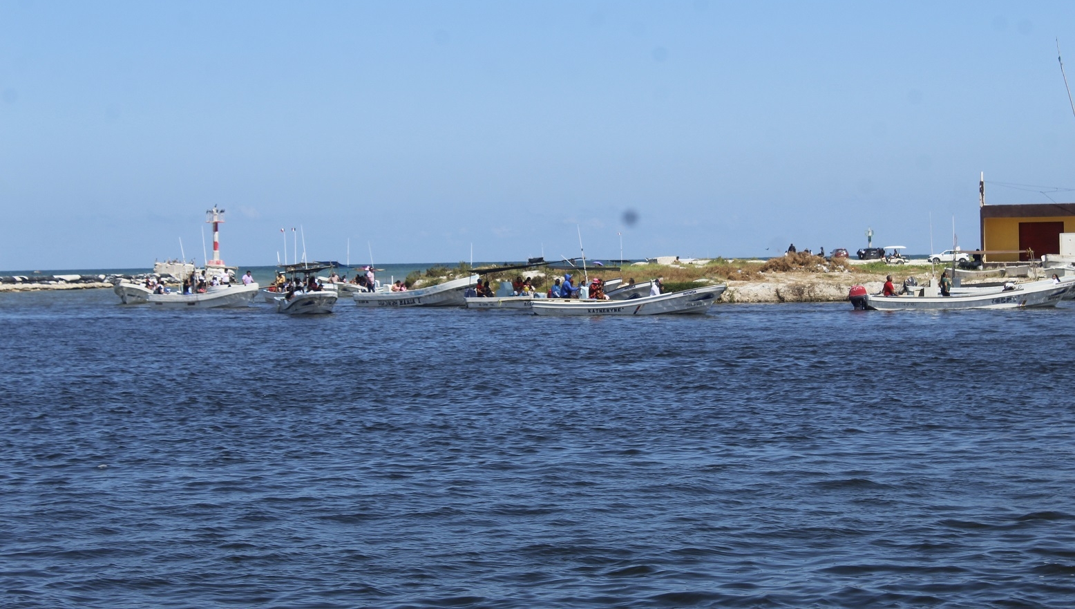 La captura del pulpo llegará a su fin debido a las condiciones climáticas
