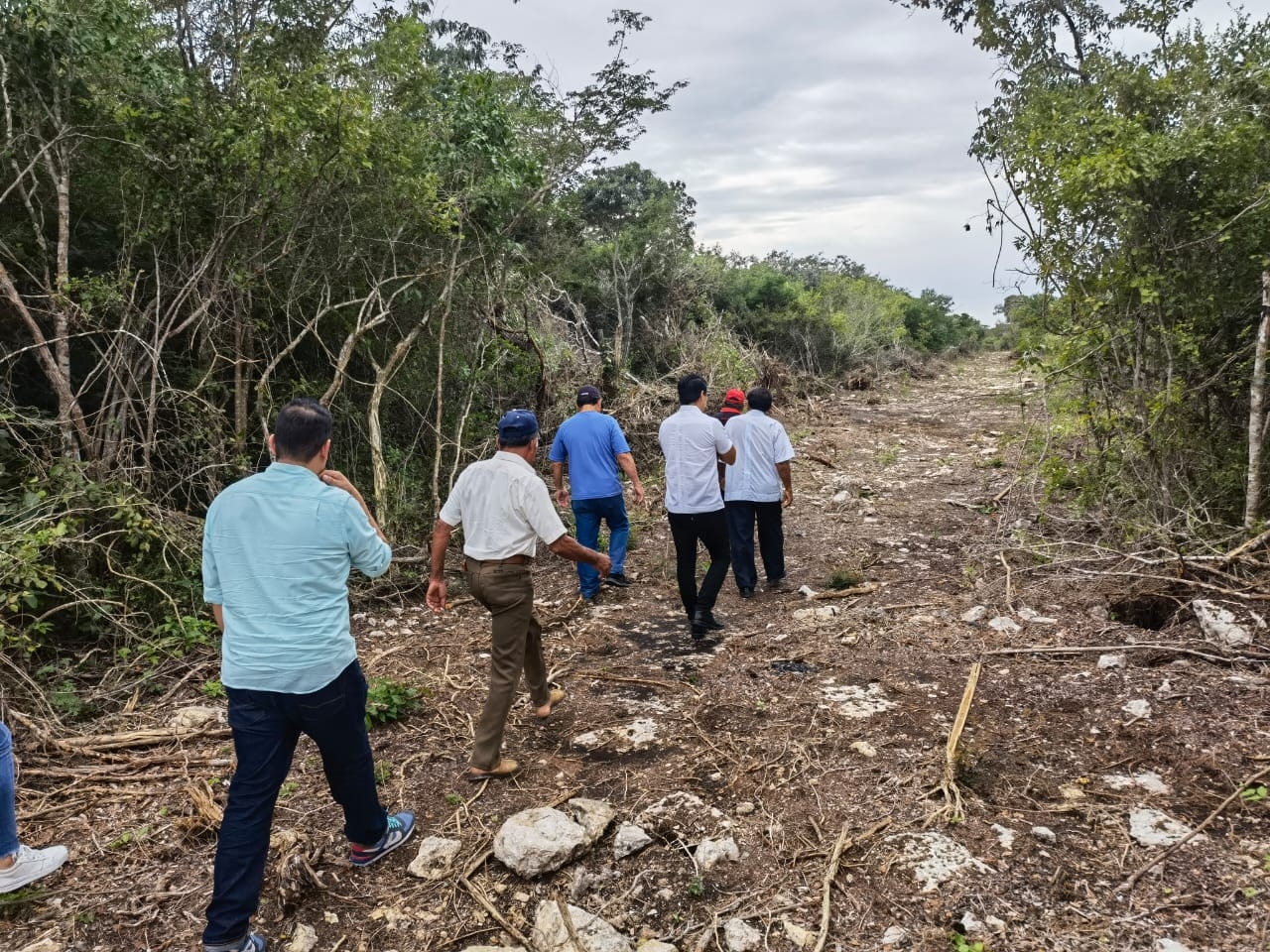 El empresario no contaba con permisos, ni estudio del impacto ambiental El empresario no contaba con permisos, ni estudio del impacto ambiental