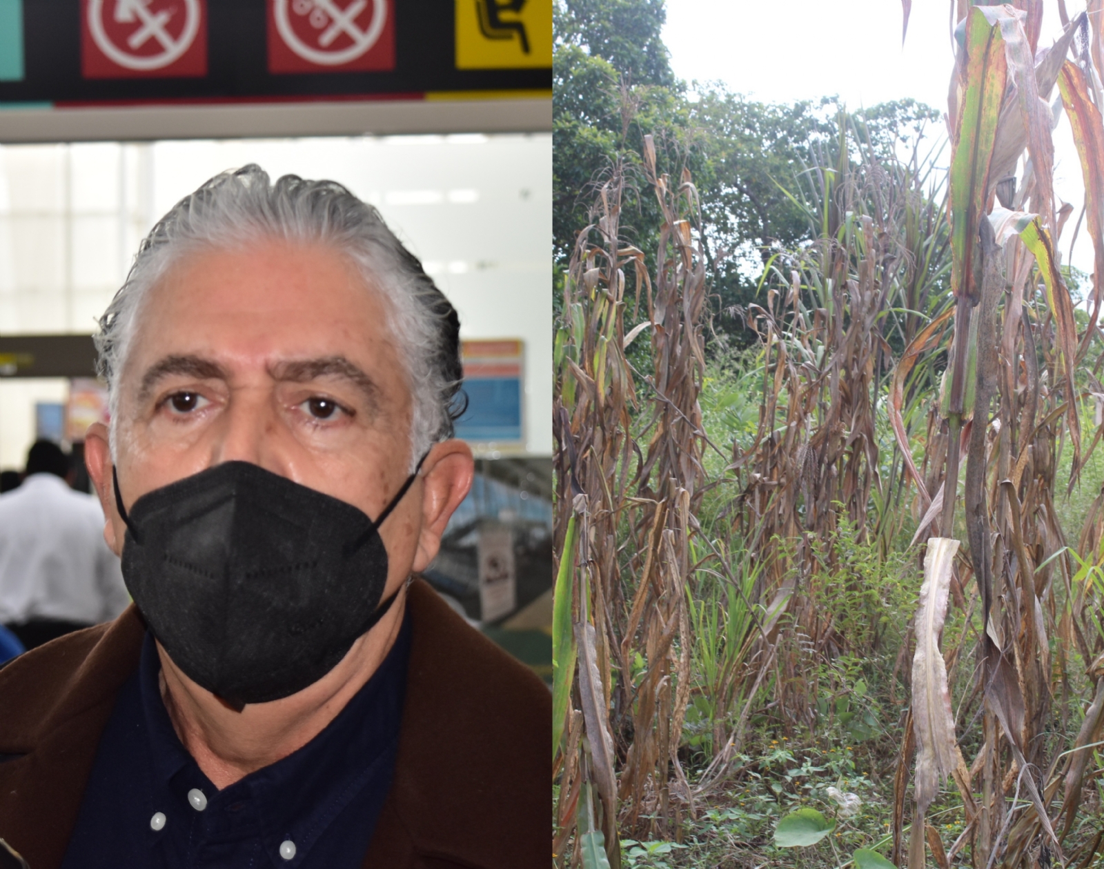 Aún se está en análisis para destinar recursos a agricultores que queden fuera del padrón, aseguró el Secretario de Desarrollo Agropecuario