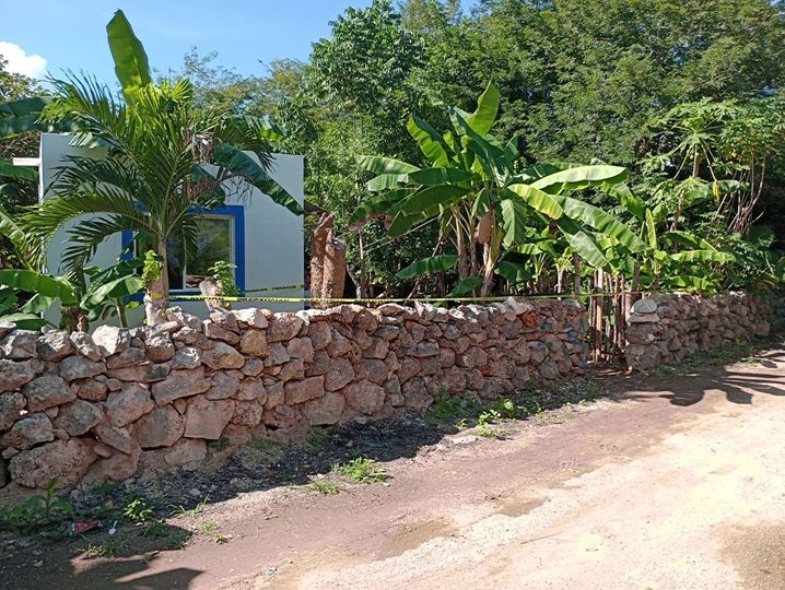 Una mujer acude a visitar a su familia y descubre a su mamá y hermana, quienes se quejaban de dolor Una mujer acude a visitar a su familia y descubre a su mamá y hermana, quienes se quejaban de dolor