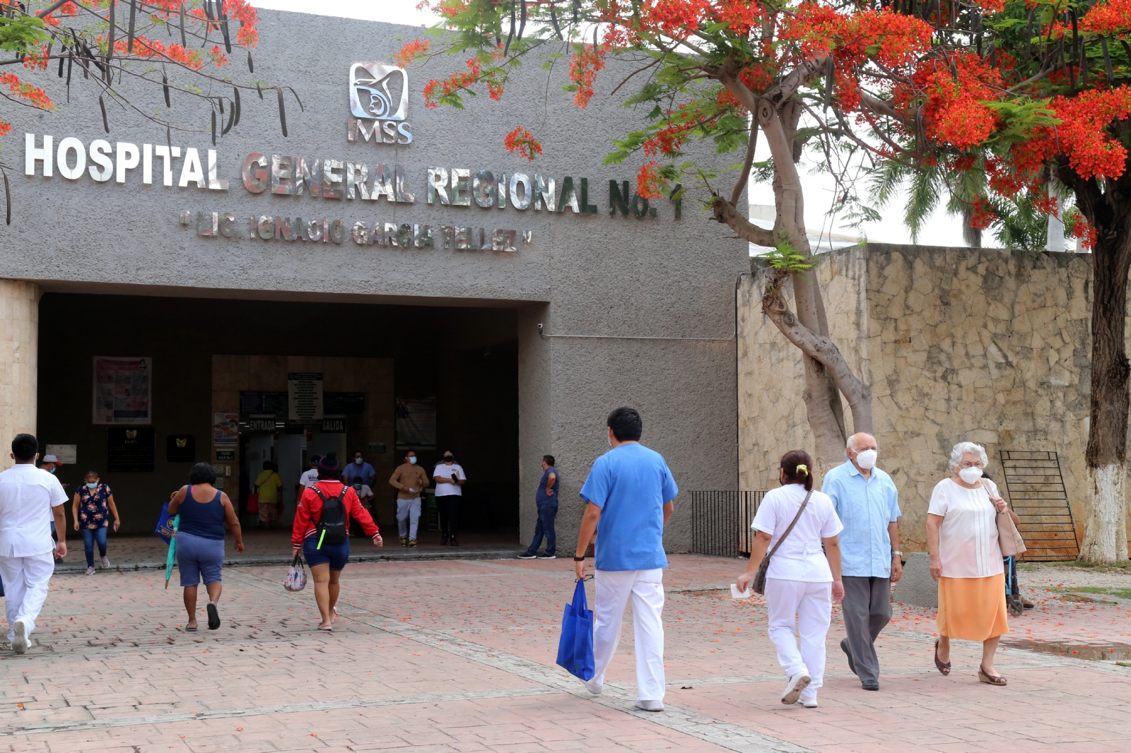 88 municipios de Yucatán se encuentran librea de contagios de COVID-19