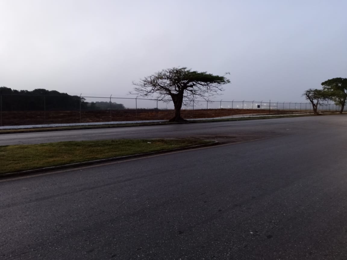 La neblina causó afectaciones en el aeropuerto de Mérida La neblina causó afectaciones en el aeropuerto de Mérida