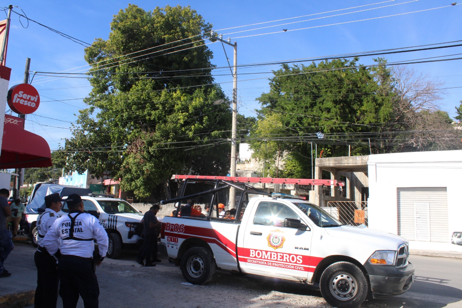 Vecinos mencionaron que al menos tres perros registraron ataques del felino mientras huía