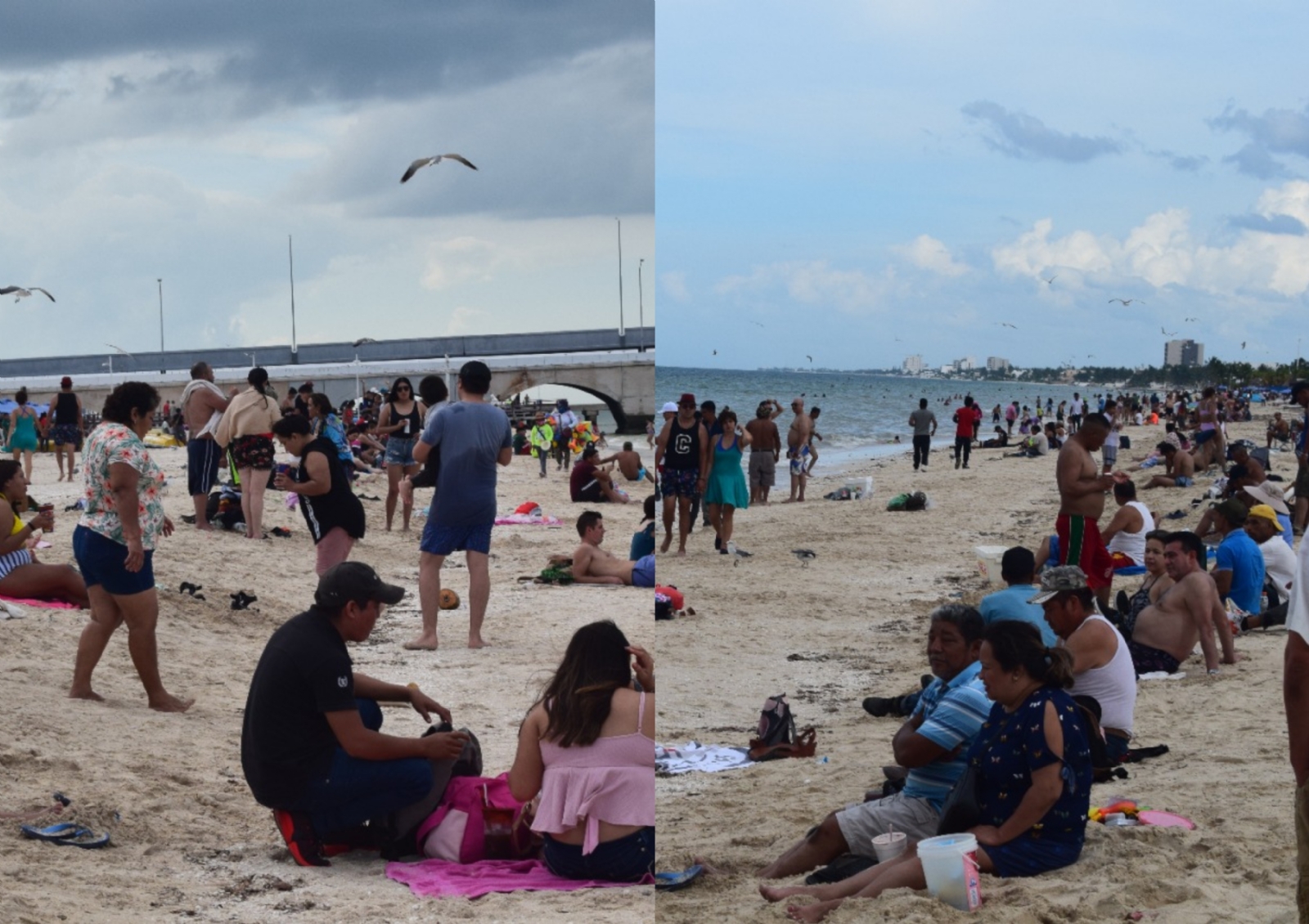 El mal tiempo provocó la salida de sargazo en la orilla del mar