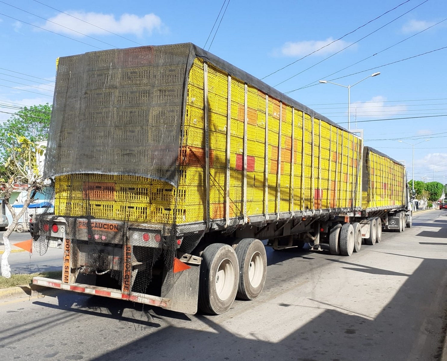 El precio del kilo de pollo tuvo un incremento considerable en el Sur de Quintana Roo