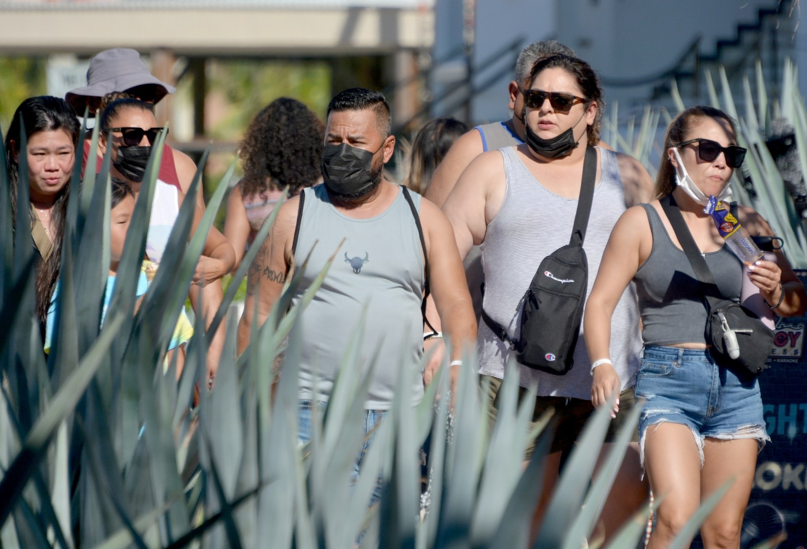 Prevén una mayor captación con el impulso de la Zona Sur
