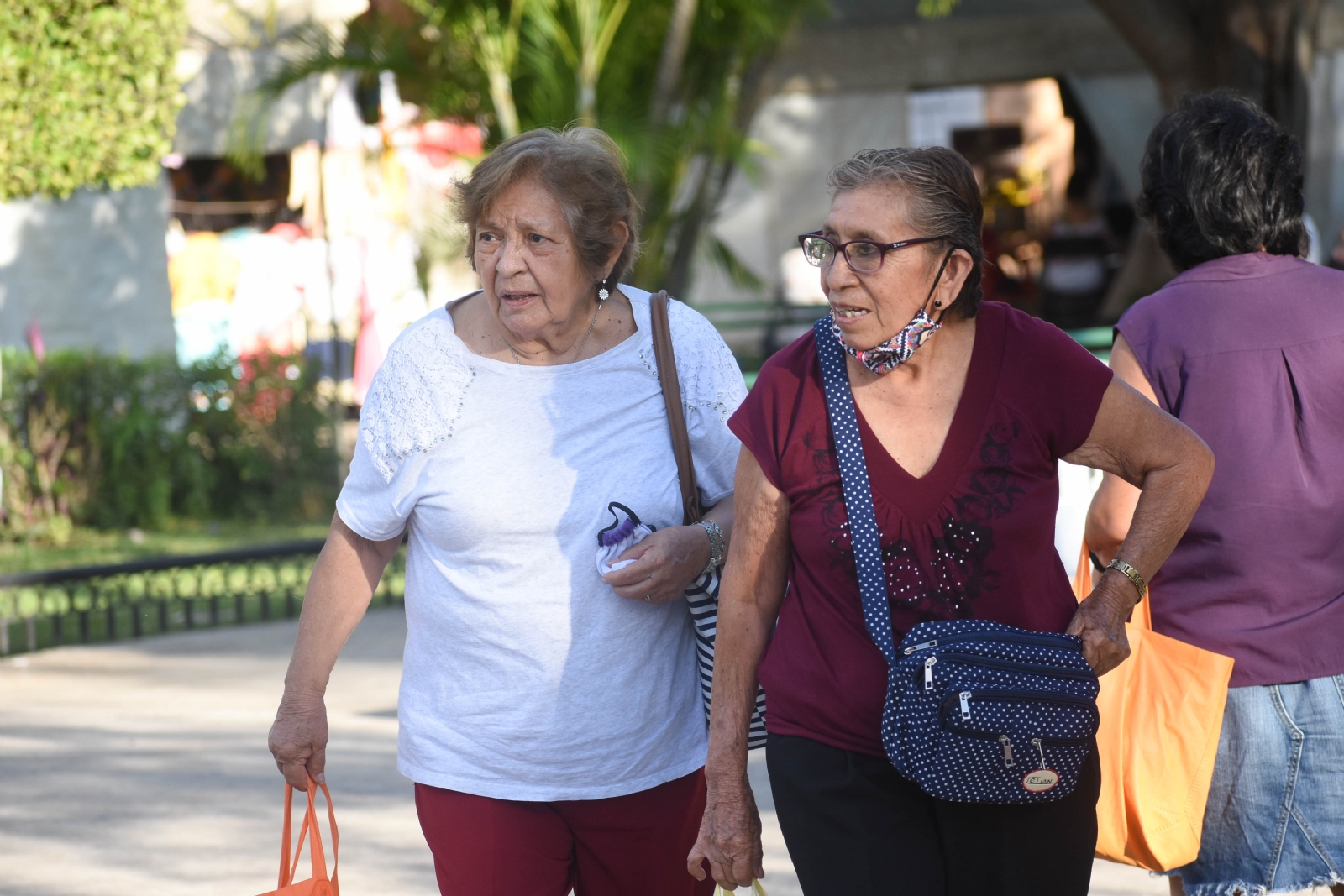 Entre el 5% y 8% de los adultos mayores presentan alguna demencia asociada al deterioro cognitivo