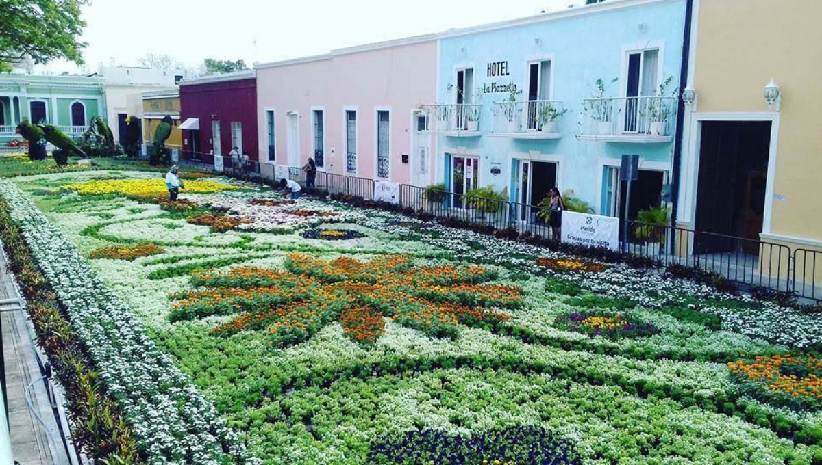 El paseo de las flores se une a otras actividades navideñas de Mérida
