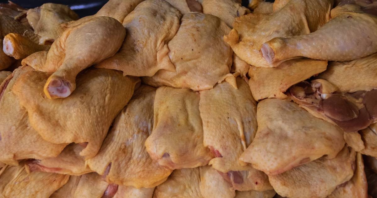 Huevo y pollo con normalidad ante alerta por influenza aviar