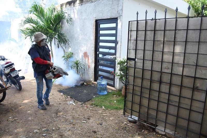 Recomiendan al Sector Salud continuar con los operativos de control del vector, de lo contrario habría un brote epidemiológico