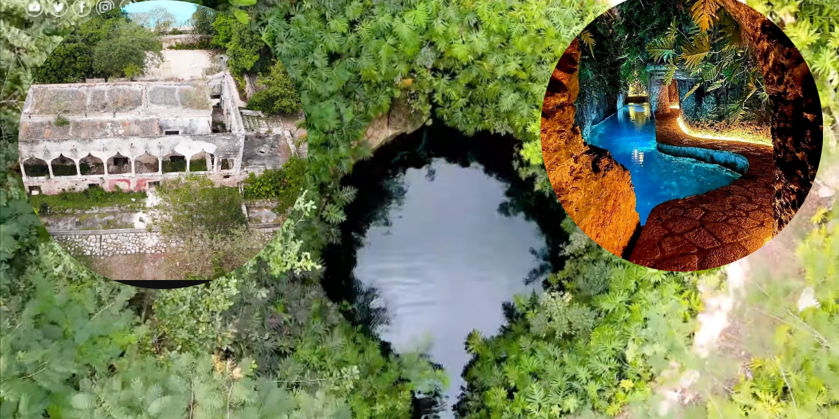 Podrás nadar en un canal lleno de vegetación que te llevará al cenote. Foto: Especial