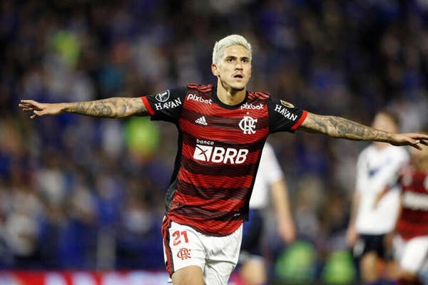 Pedro festeja su convocatoria al Mundial con Brasil con una petición de matrimonio Pedro festeja su convocatoria al Mundial con Brasil con una petición de matrimonio