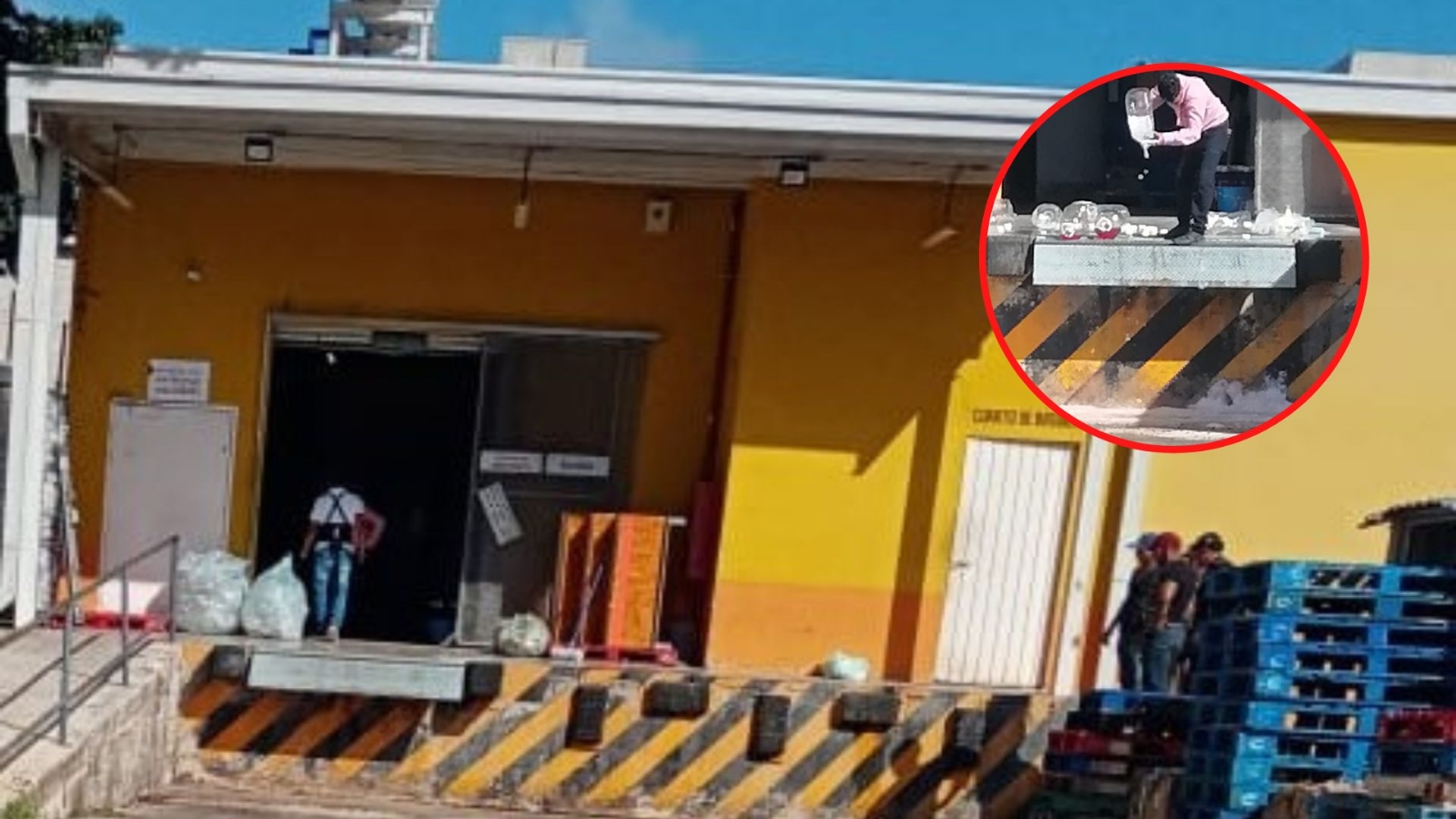 Vecinos de Ticul se sorprendieron ante este hecho Vecinos de Ticul se sorprendieron ante este hecho