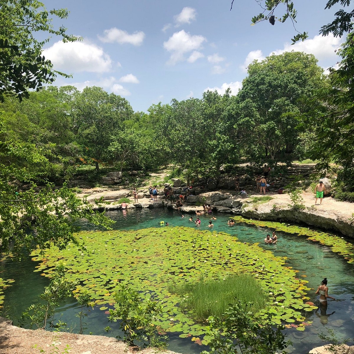 El cenote fue clausurado antes de la pandemia debido a altos índices de contaminación, incluyendo heces fecales El cenote fue clausurado antes de la pandemia debido a altos índices de contaminación, incluyendo heces fecales