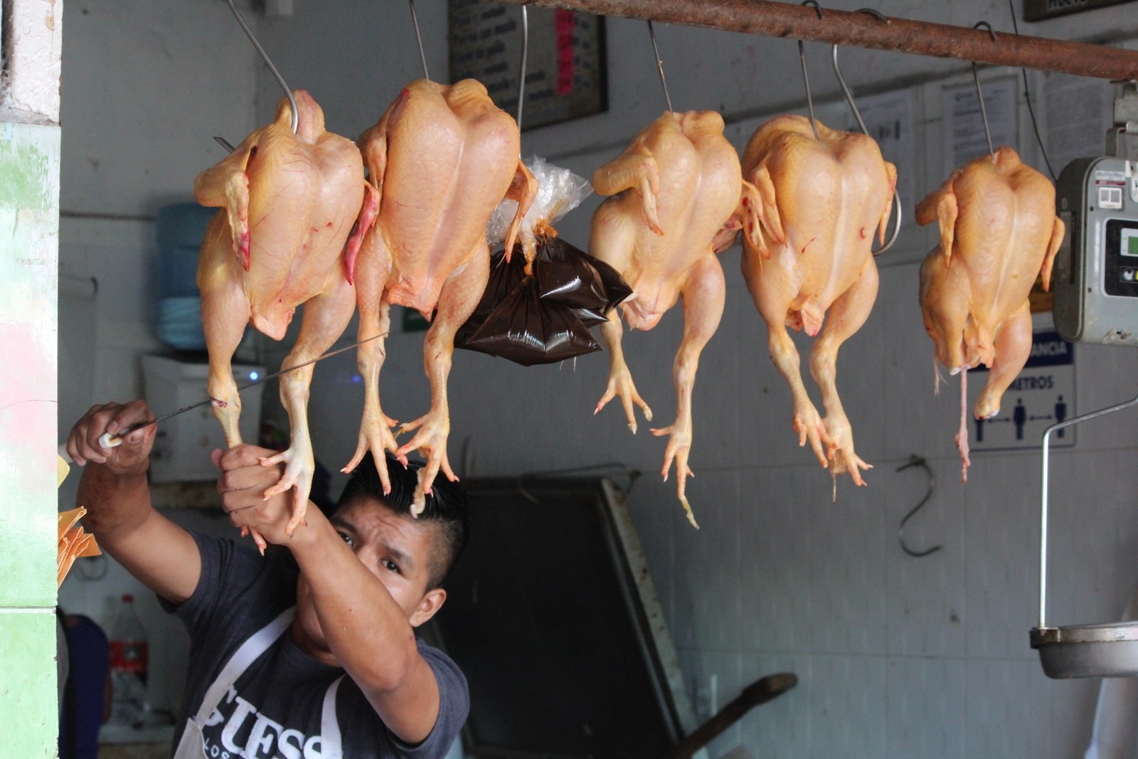 Venta de pavo en Cancún bajó hasta en un 70%: Comerciantes