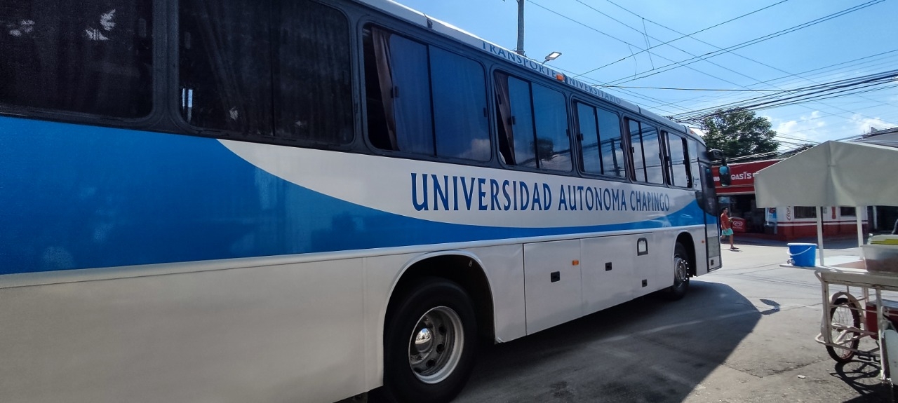 Llegarán a Tulum para luego hospedarse en Chetumal