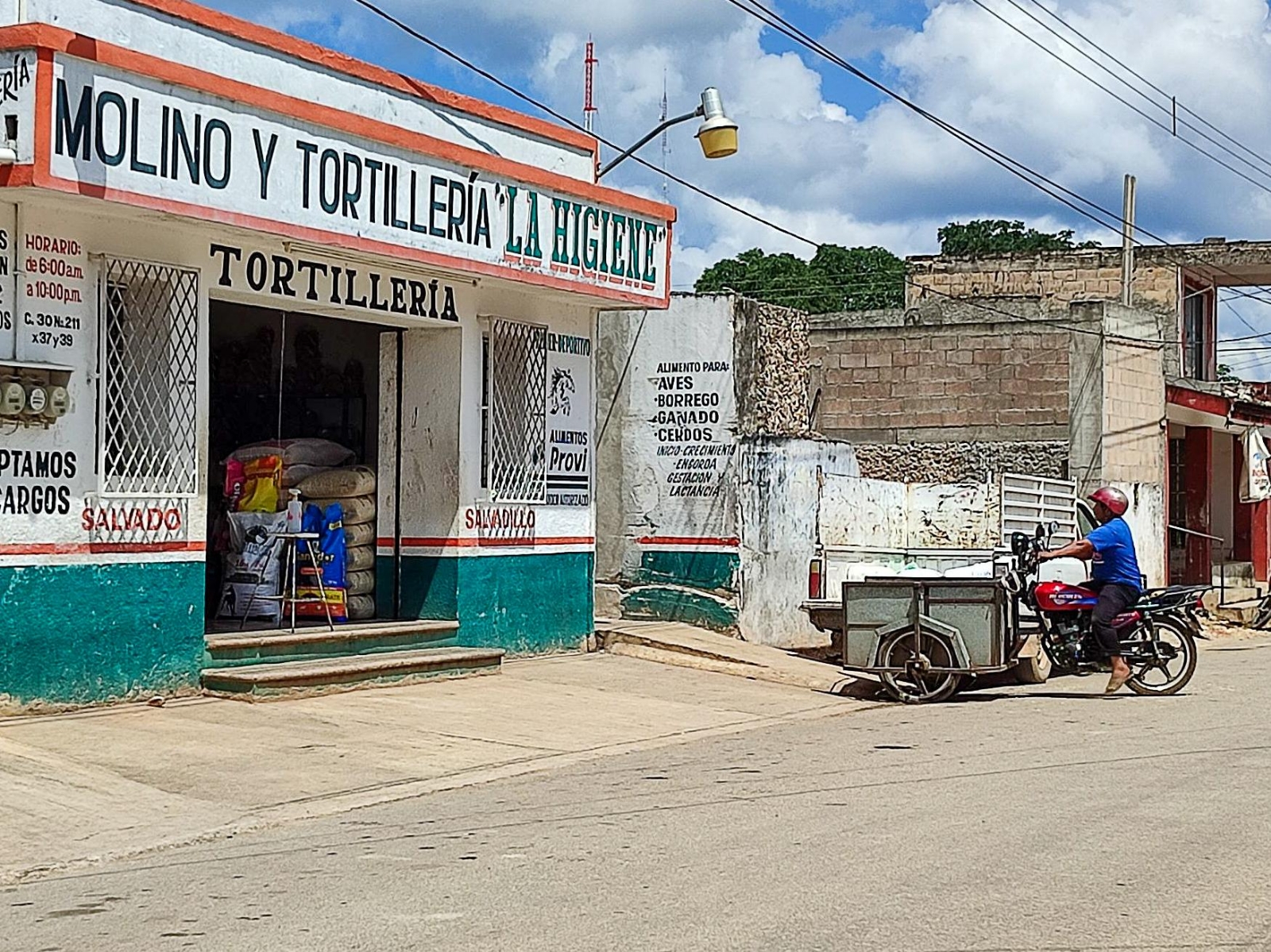 Actualmente el precio del kilo de tortilla está en 22 pesos y el kilo de masa en 12 pesos