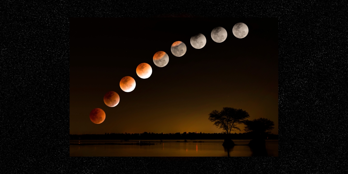 Este 2023 podremos ser testigos de eclipses y lluvias de estrellas. Foto: Especial Este 2023 podremos ser testigos de eclipses y lluvias de estrellas. Foto: Especial