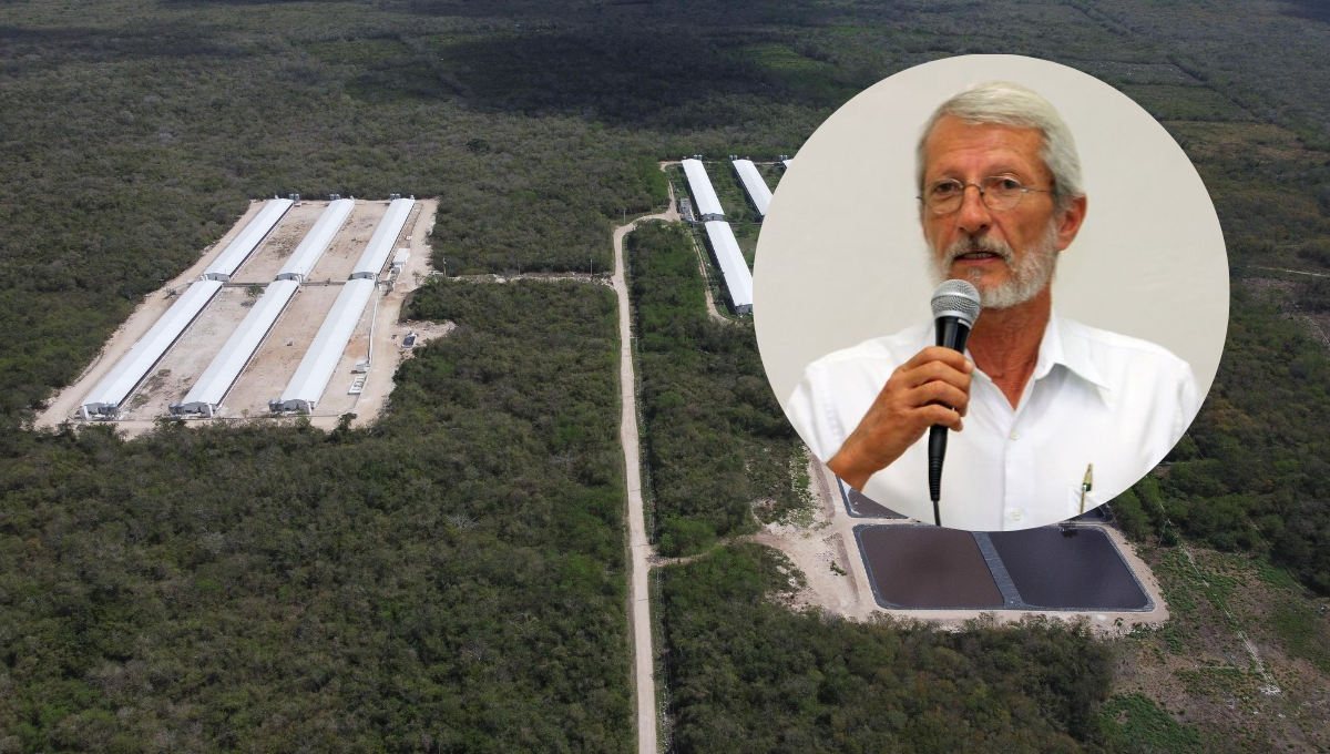 Se prevé que para 2050 el problema de contaminación del agua será difícil de combatir Se prevé que para 2050 el problema de contaminación del agua será difícil de combatir