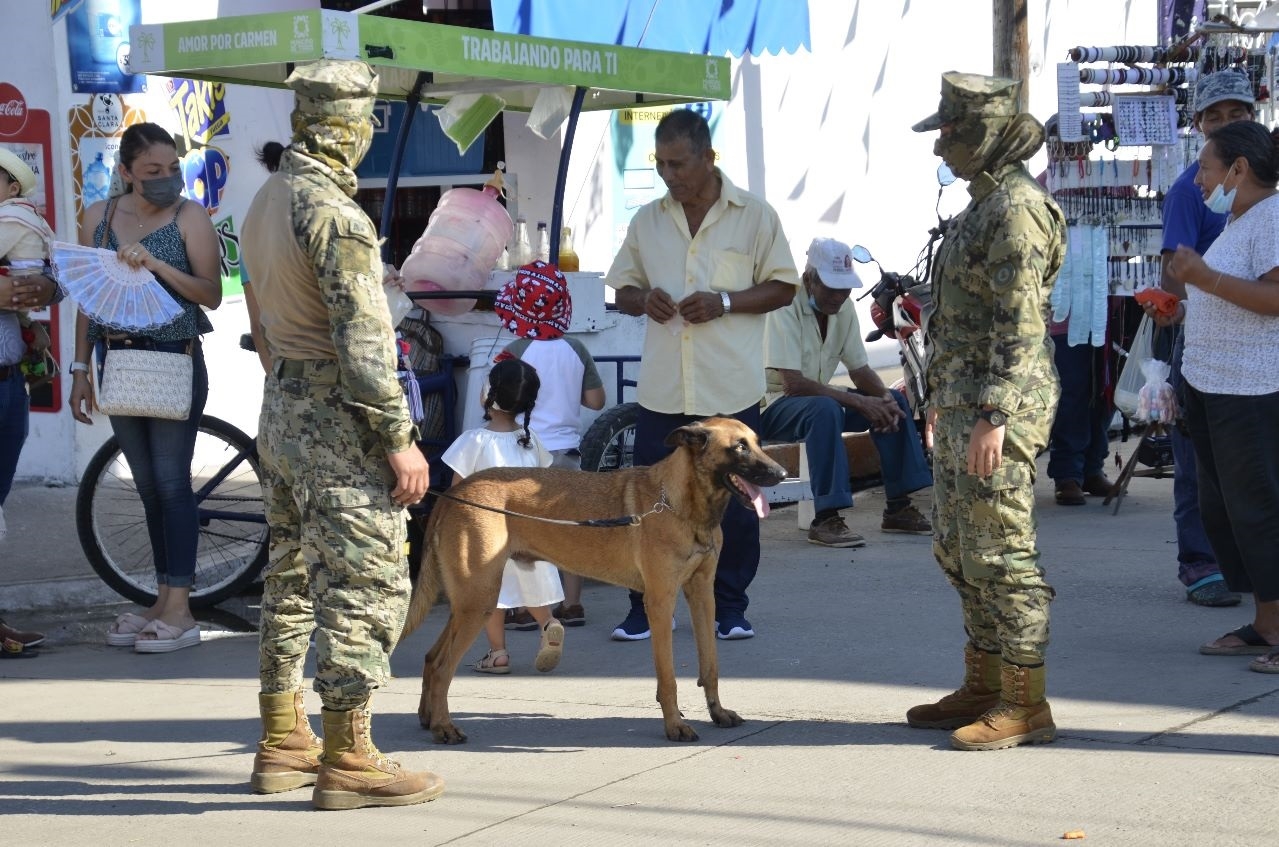 Semar, Sedena y las policías estatal y municipal trabajan en conjunto en los operativos