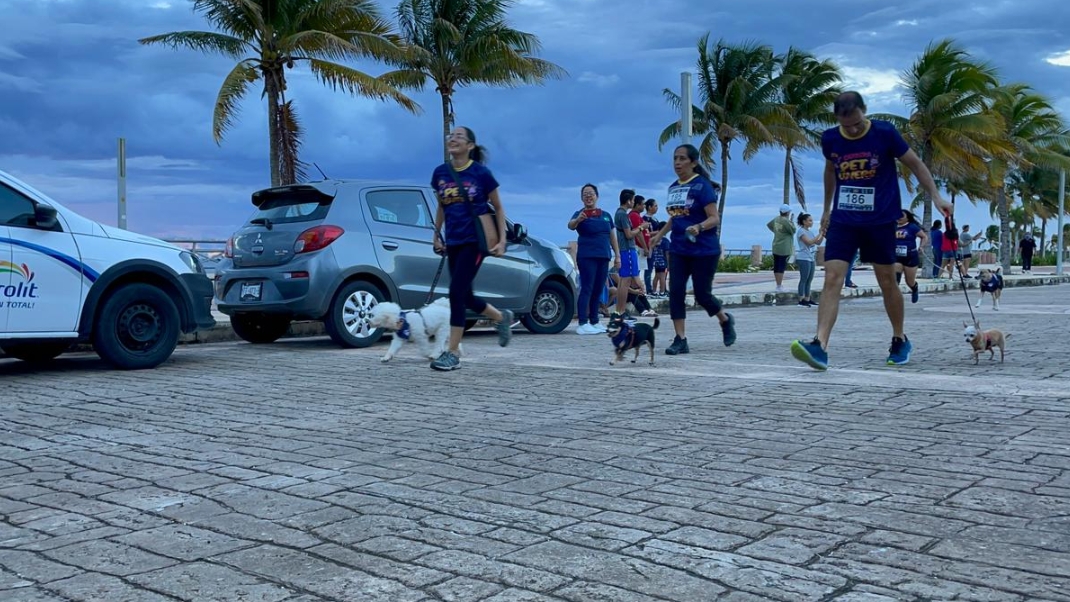 Los atletas se formaron en la línea de salida y al sonido de la “chicharra”



?
?