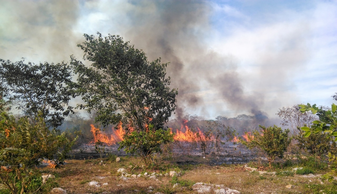 La temporada de quemas agrícolas inicia este 1 de marzo en Yucatán