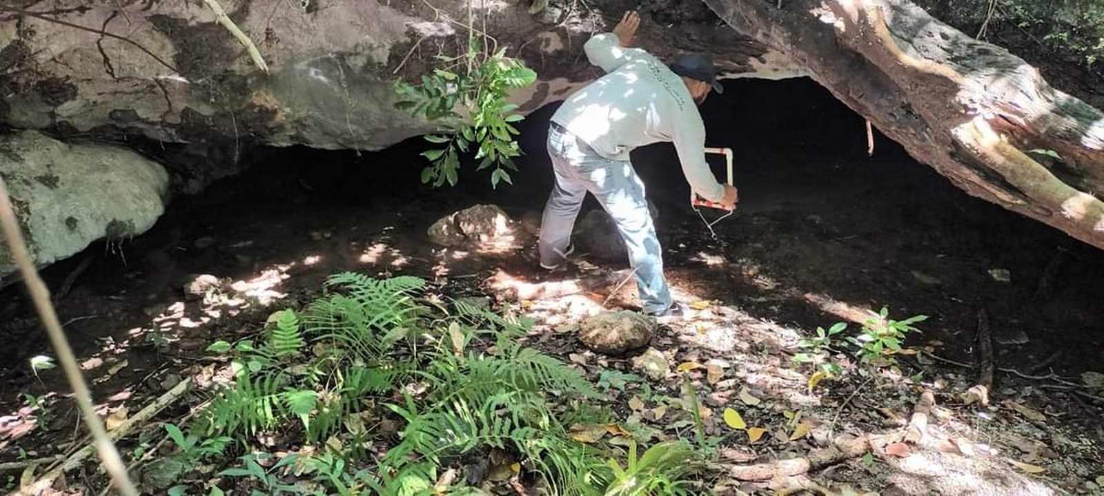 Cuevas alcalinas de Cozumel corren peligro de ser contaminadas