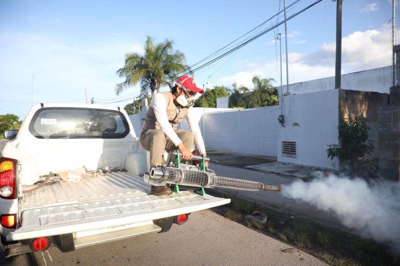 Hasta ahora no se han registrado decesos por el dengue en Yucatán