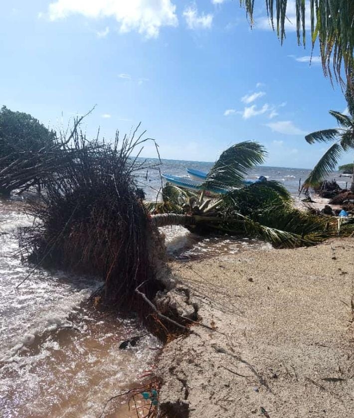 Los pescadores de la ínsula, han tenido que refugiarse en sus cabañas, para evitar ser víctimas por el fuerte oleaje Los pescadores de la ínsula, han tenido que refugiarse en sus cabañas, para evitar ser víctimas por el fuerte oleaje