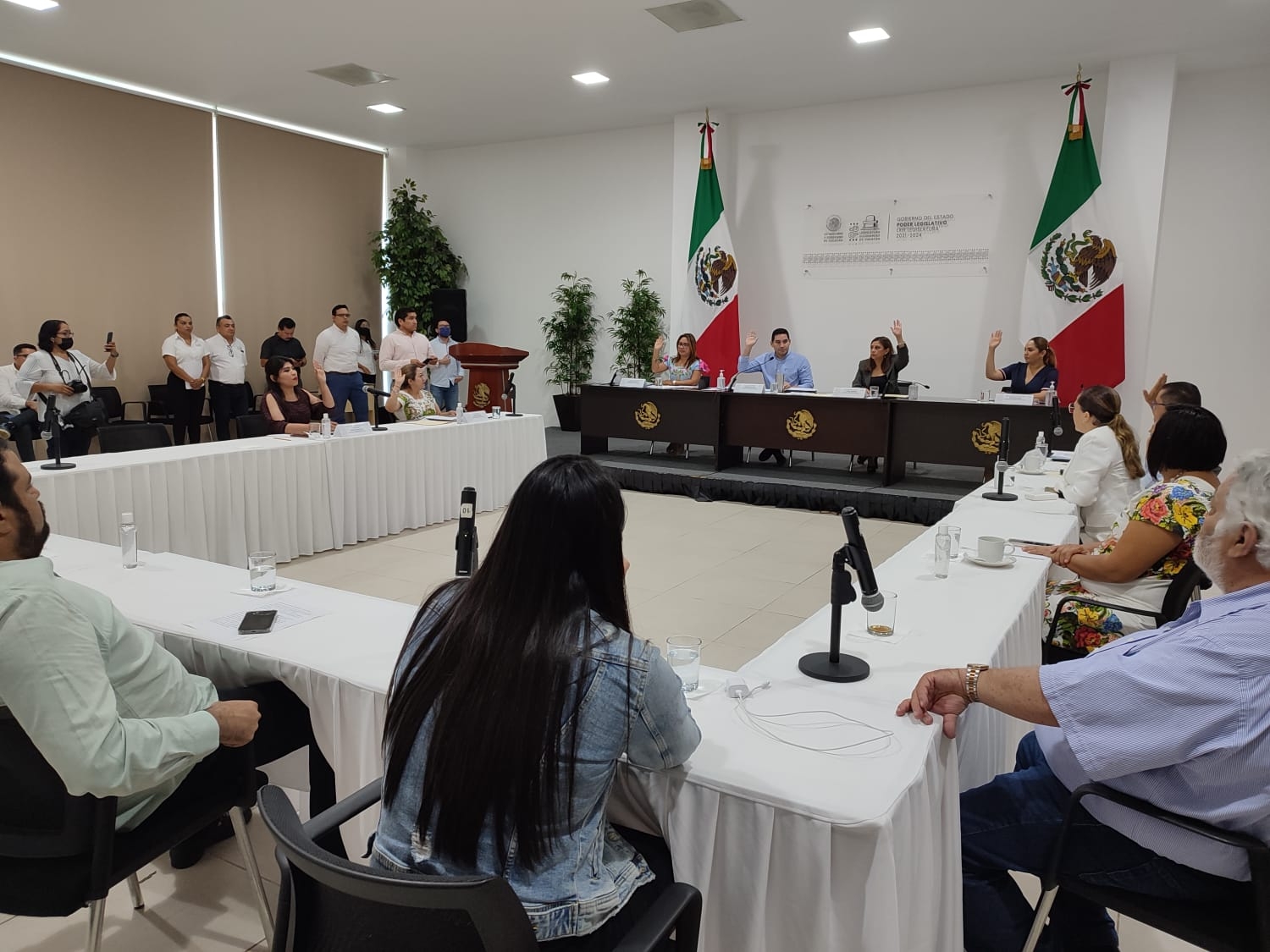 Dos proyectos se aprobaron por unanimidad en el Congreso del Estado