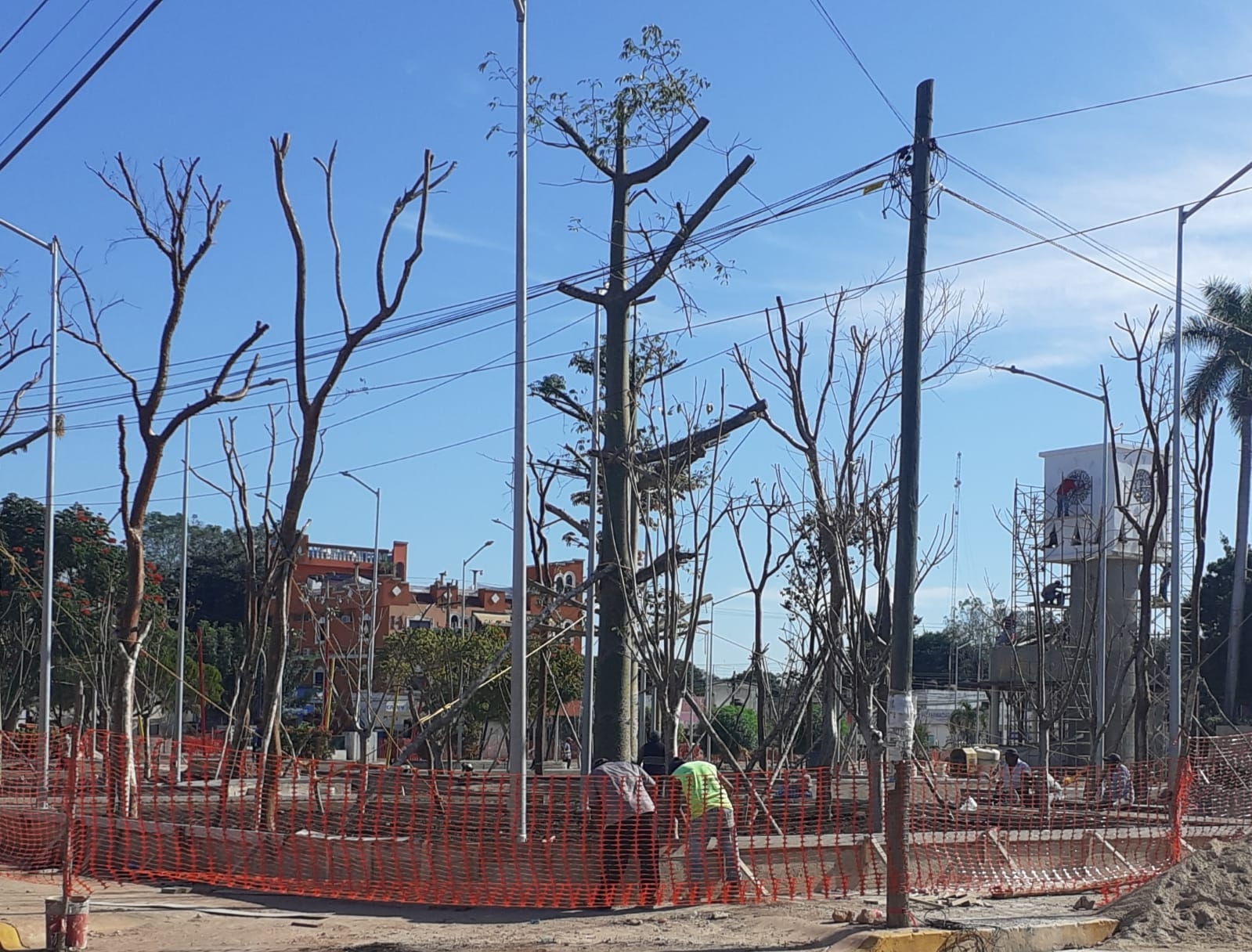 El ciudadano dijo que es bueno que haya árboles en un parque, pero eso va a implicar constantemente que se limpie El ciudadano dijo que es bueno que haya árboles en un parque, pero eso va a implicar constantemente que se limpie