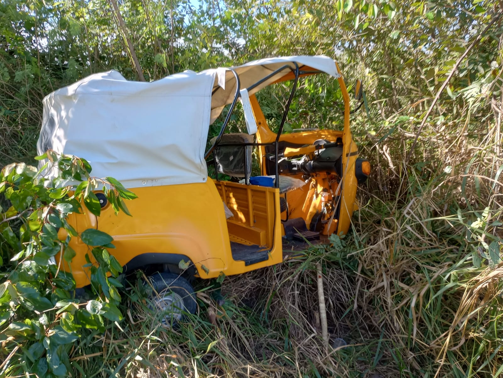 La mujer fue trasladada al Hospital Rural de Xpujil donde perdió la vida La mujer fue trasladada al Hospital Rural de Xpujil donde perdió la vida