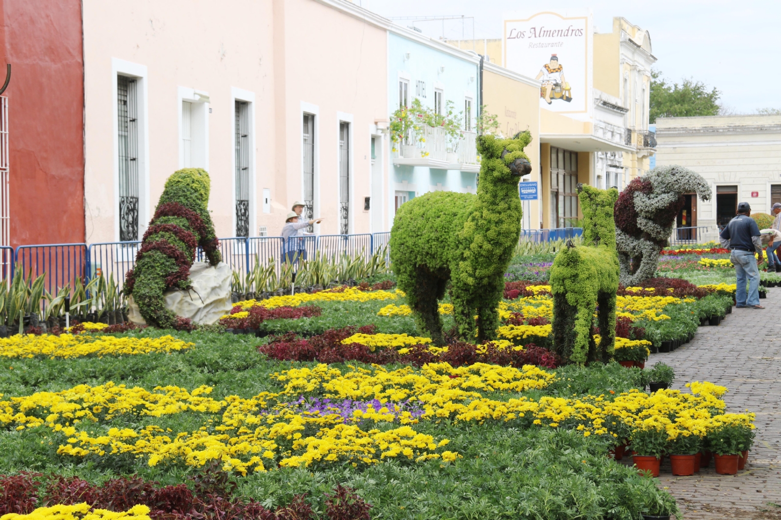 El paseo de las flores será inaugurado este 6 de diciembre