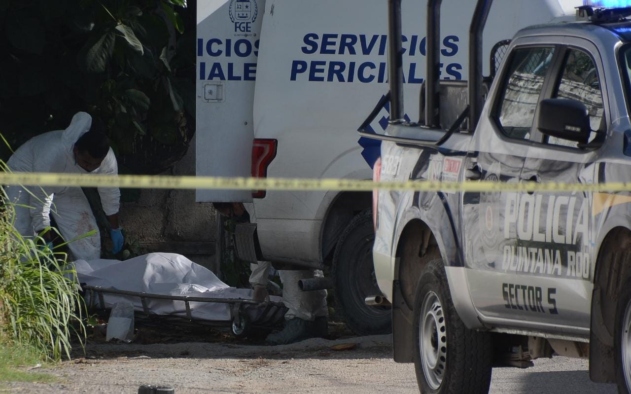 En Solidaridad, los casos de violencia domestica han ido en aumento En Solidaridad, los casos de violencia domestica han ido en aumento